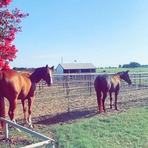 Meet your Posher, April